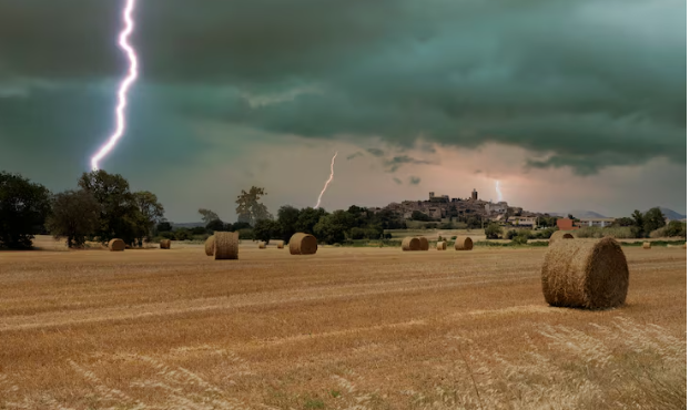 El clima extremo obliga a replantear el futuro de la agricultura